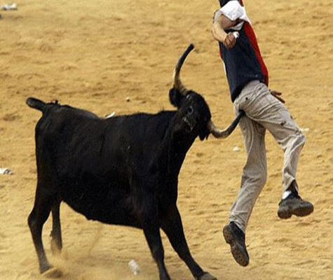 Il Bull: Simbolo Culturale ed Economico