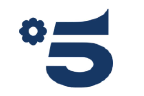 Come Accedere al Canale 5 Streaming in Italia