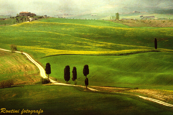 Scopri Pienza, La Perla del Rinascimento Toscano