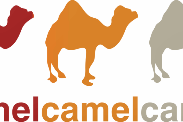 Camel Camel Camel: Strumento per il Monitoraggio dei Prezzi su Amazon