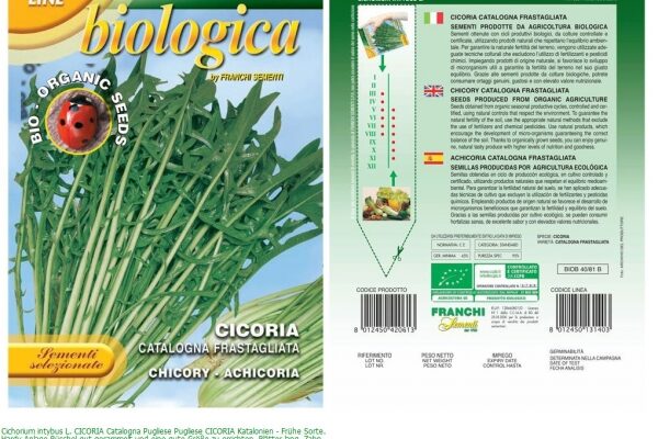 Catalogna: Storia, Usi e Benefici