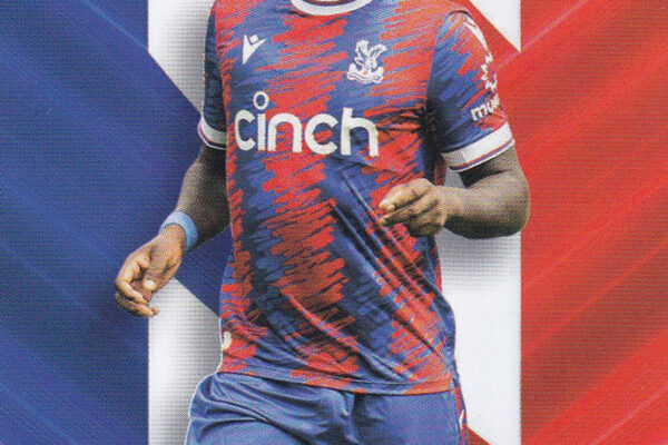 La Storia e l’Importanza del Crystal Palace F.C.
