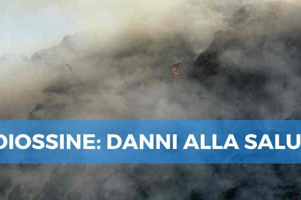 Diossina: Comprendere i Rischi e le Misure Preventive