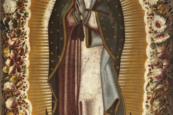 Guadalupe: Un’isola ricca di storia e cultura