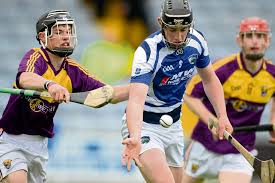L’importanza del Hurling nel Patrimonio Sportivo Irlandese