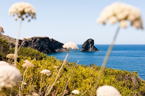 Scopri Pantelleria: L’Isola dei Vini e della Natura