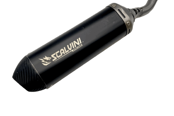 Scalvini: Innovazioni e Ricerca nella Medicina Sportiva