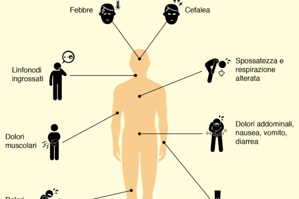 Sintomi del virus West Nile: cosa sapere