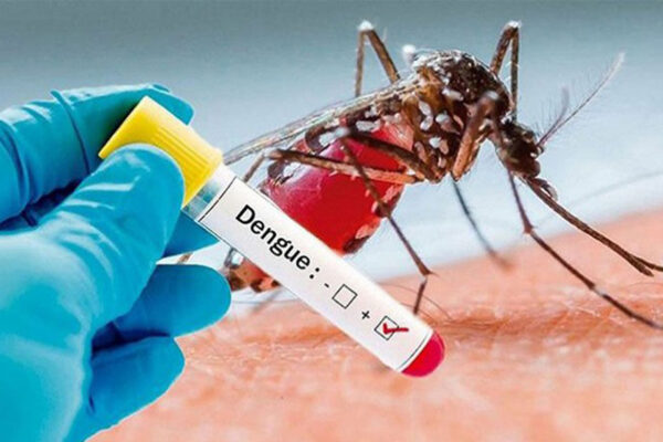 Dengue: Un’Infezione in Crescita e Come Prevenirla