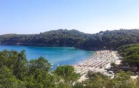 Alla Scoperta dell’Isola d’Elba: Un Paradiso Naturale