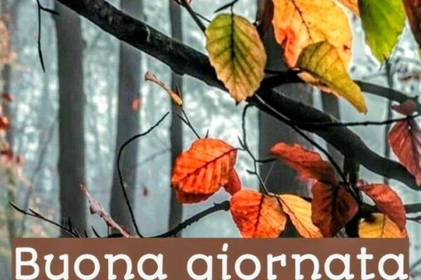 Buongiorno 23 Settembre 2025: Celebrazioni e Eventi in Italia