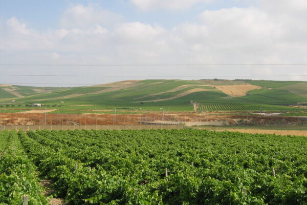 Italia 1: Un Punto di Riferimento per l’Intrattenimento Televisivo