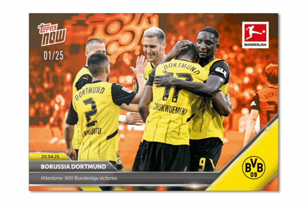 La Storia e i Successi del Borussia Dortmund