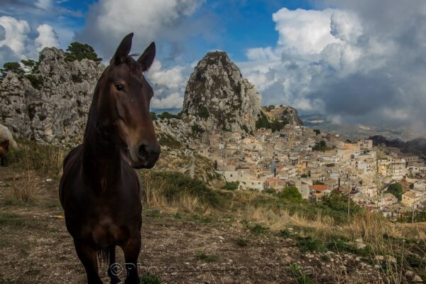 Caltabellotta: Un Borgo Siciliano tra Storia e Bellezza