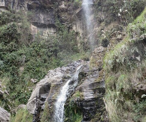 Un Viaggio Attraverso l’Ecuador: Biodiversità e Cultura