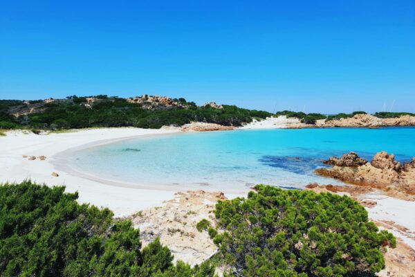 La Magia della Spiaggia Rosa: Un Paradiso Naturale