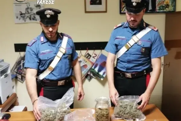 can yaman droga arrestato — IT news