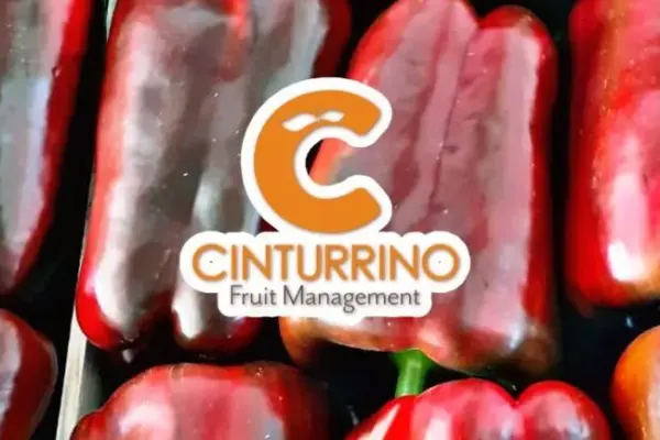 carmelo cinturrino — IT news