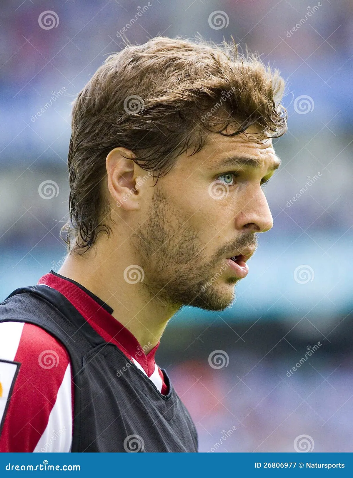 fernando llorente — IT news