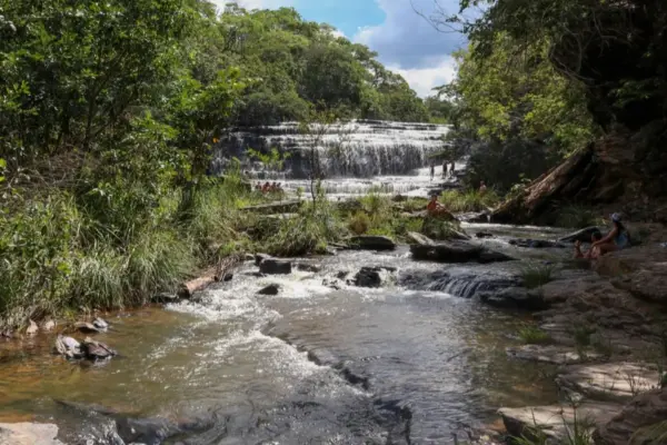 joao pinheiro — IT news