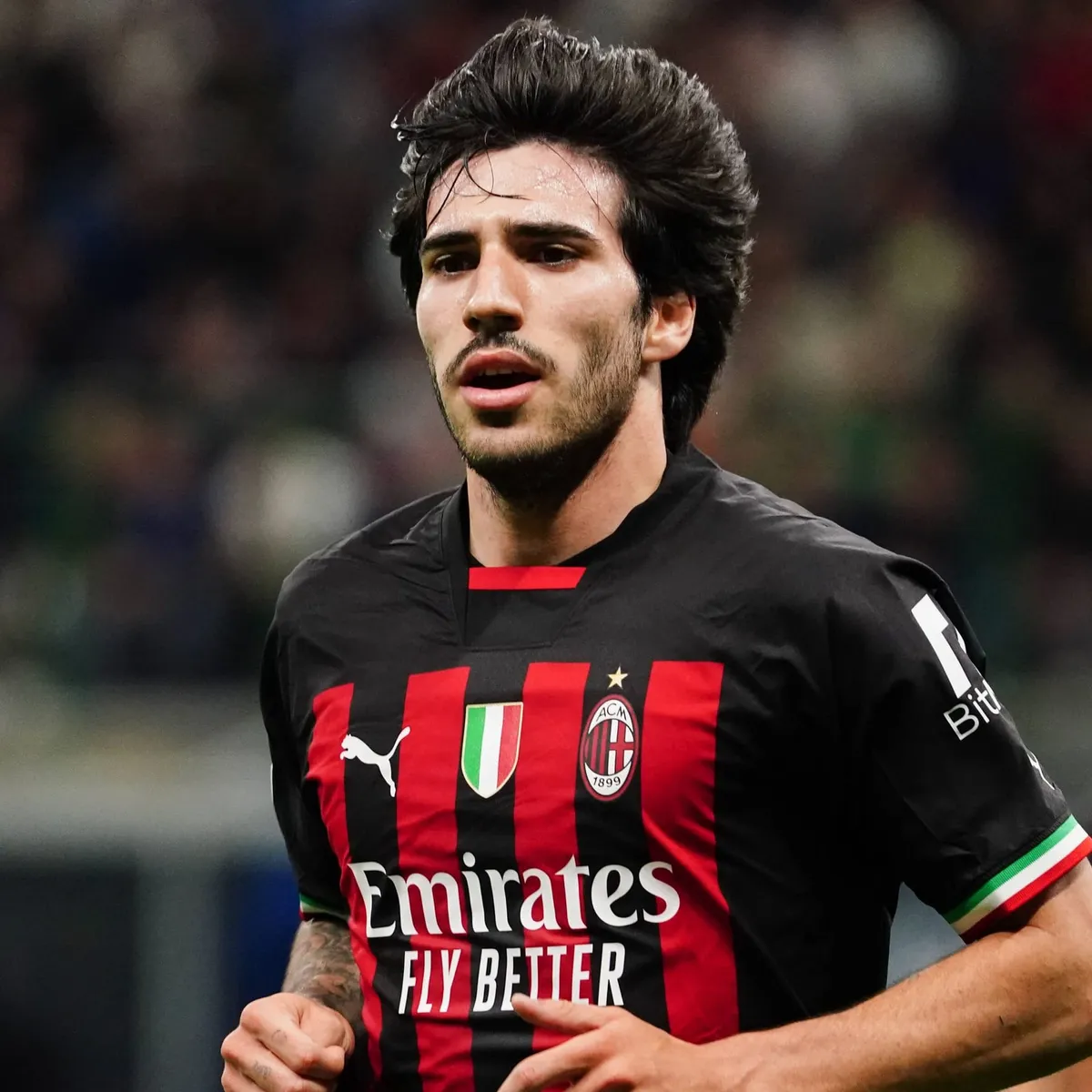 sandro tonali — IT news