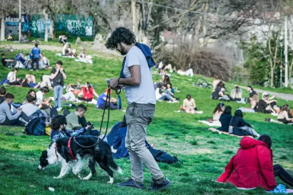 vortice polare previsioni — IT news