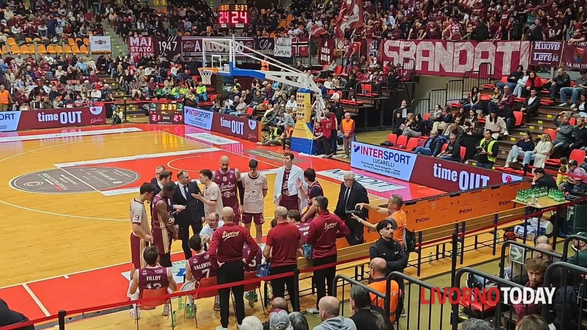 basket a2 — IT news