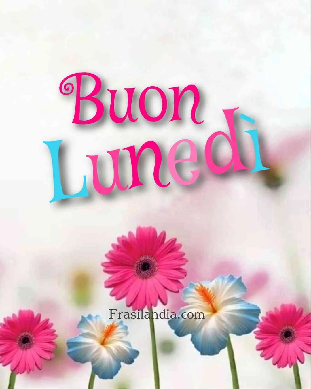 buon lunedi 9 marzo — IT news
