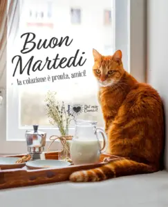 buon martedi 17 marzo 2026 — IT news