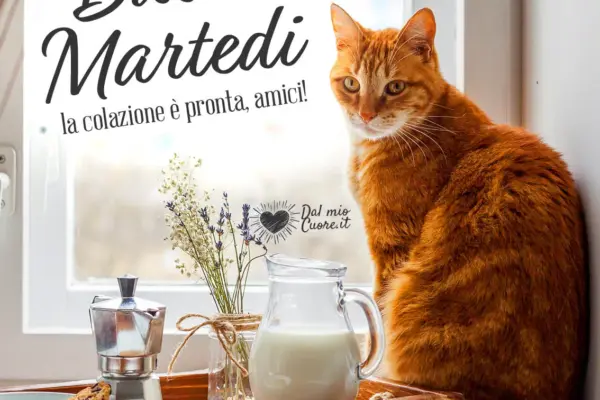 buon martedi 17 marzo 2026 — IT news