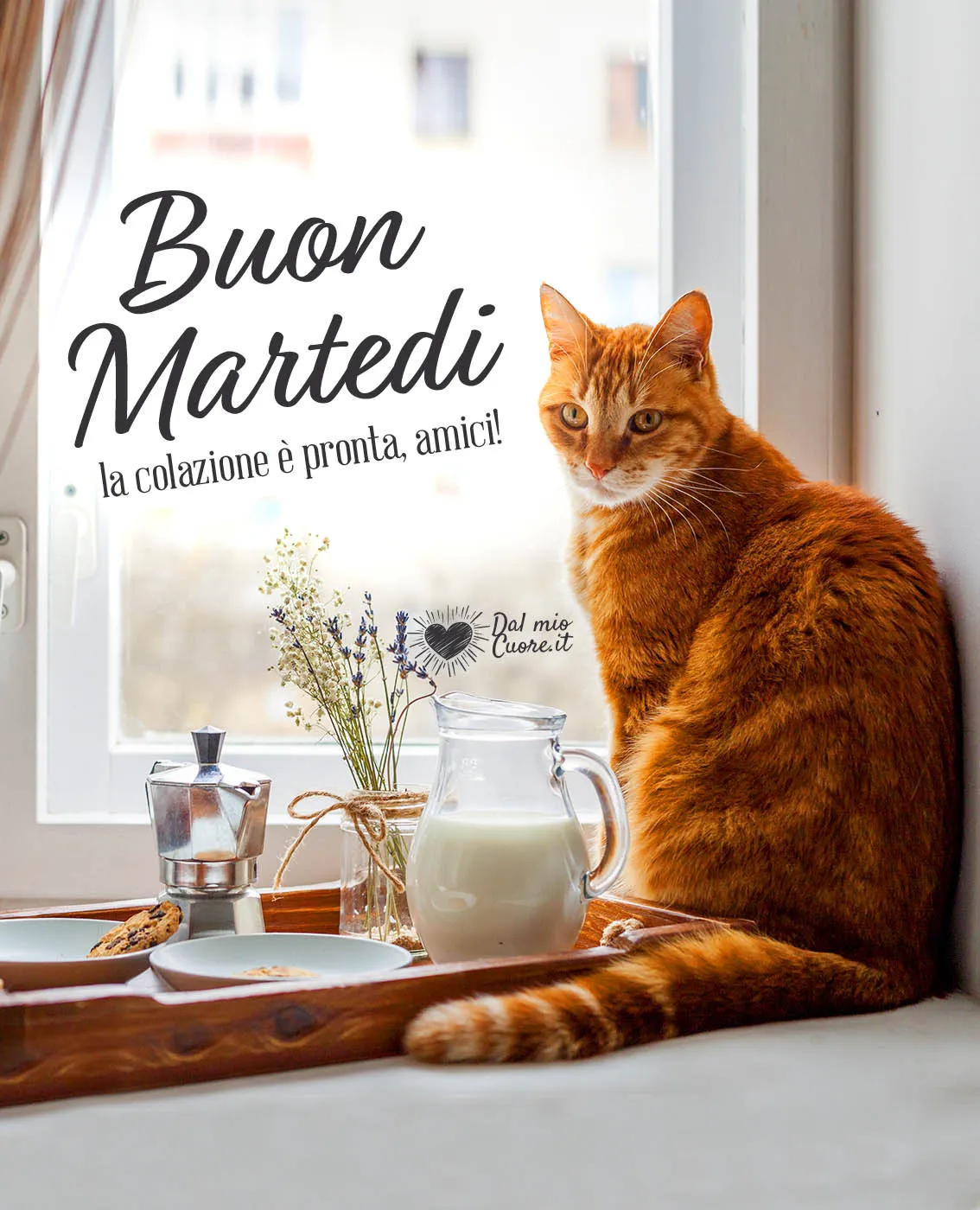 buon martedi 17 marzo 2026 — IT news