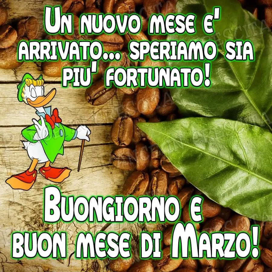 buongiorno 17 marzo — IT news