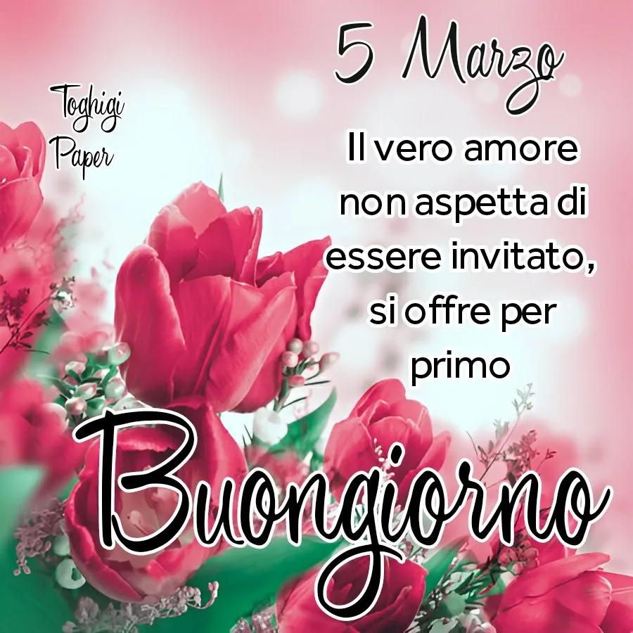 buongiorno 25 marzo 2026 — IT news