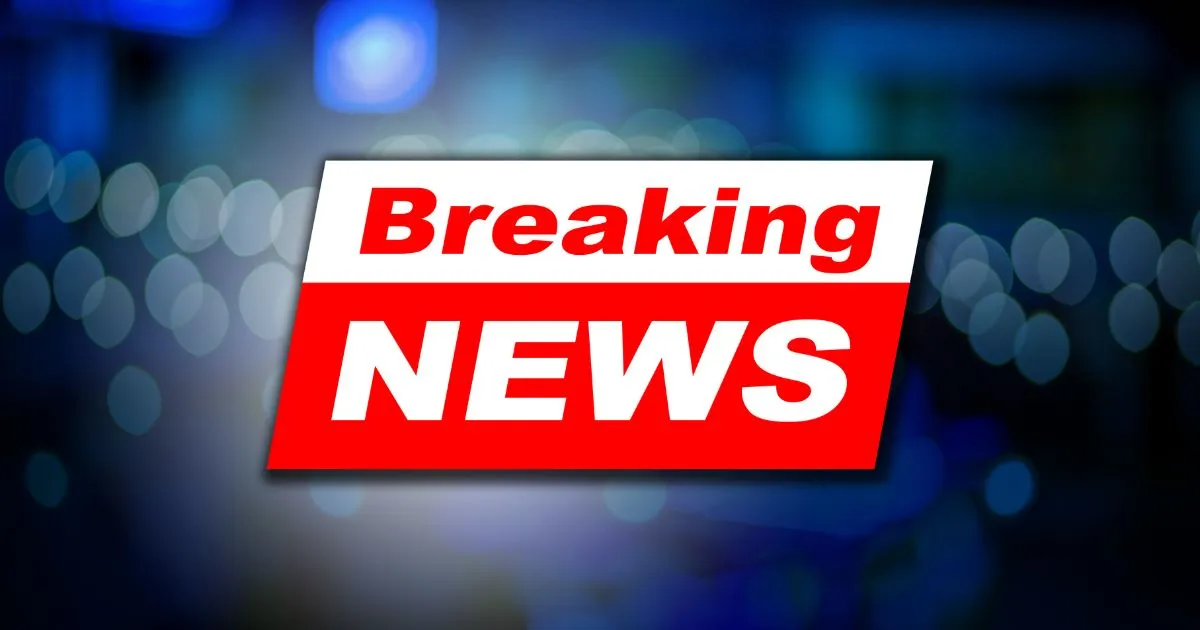 chainsaw man 232 — IT news