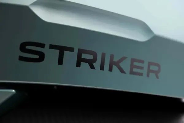 dacia striker — IT news