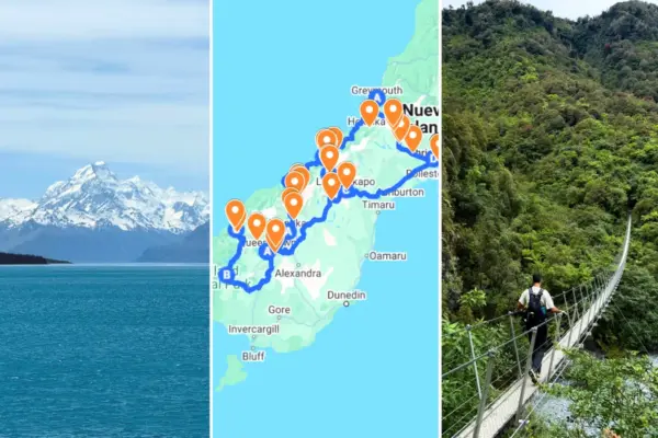 india - nuova zelanda — IT news