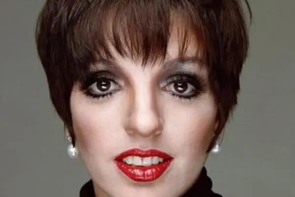 liza minnelli — IT news