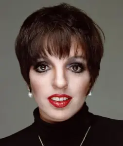 liza minnelli — IT news