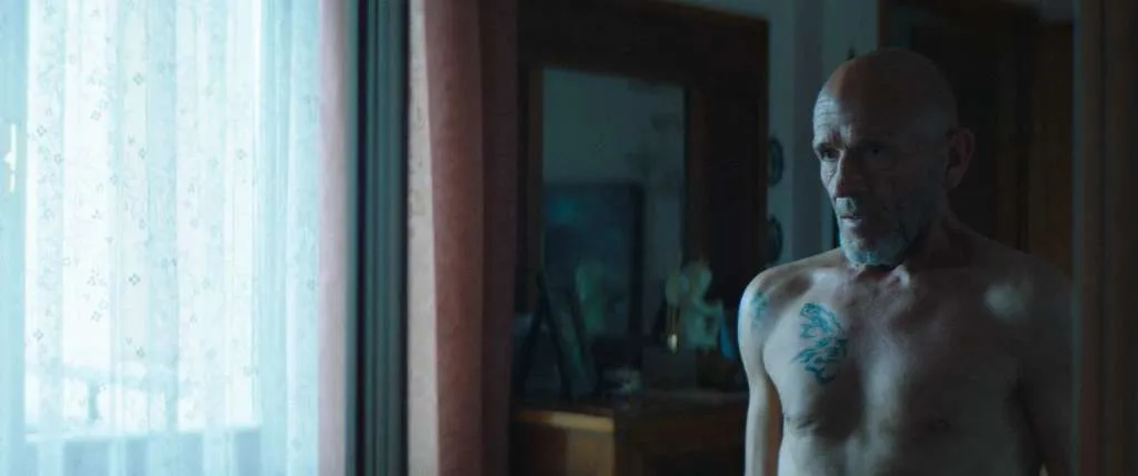 loris stecca — IT news