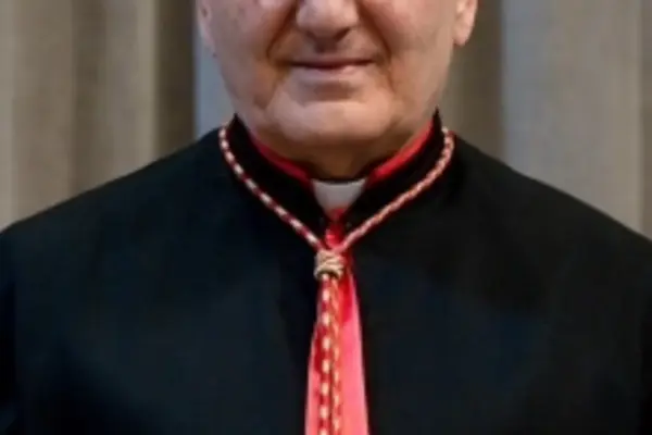 louis raphaël i sako — IT news