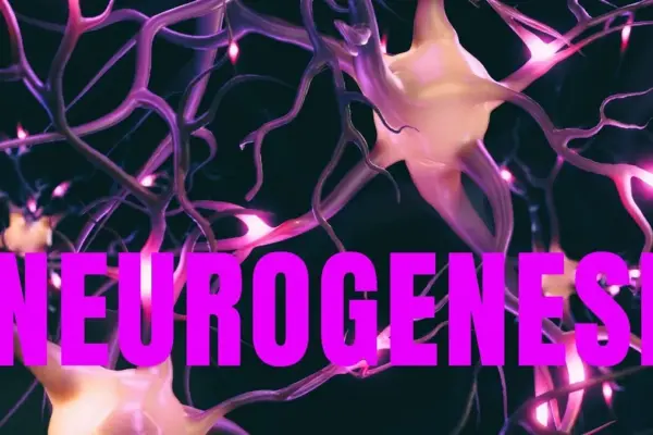 neurogenesi — IT news