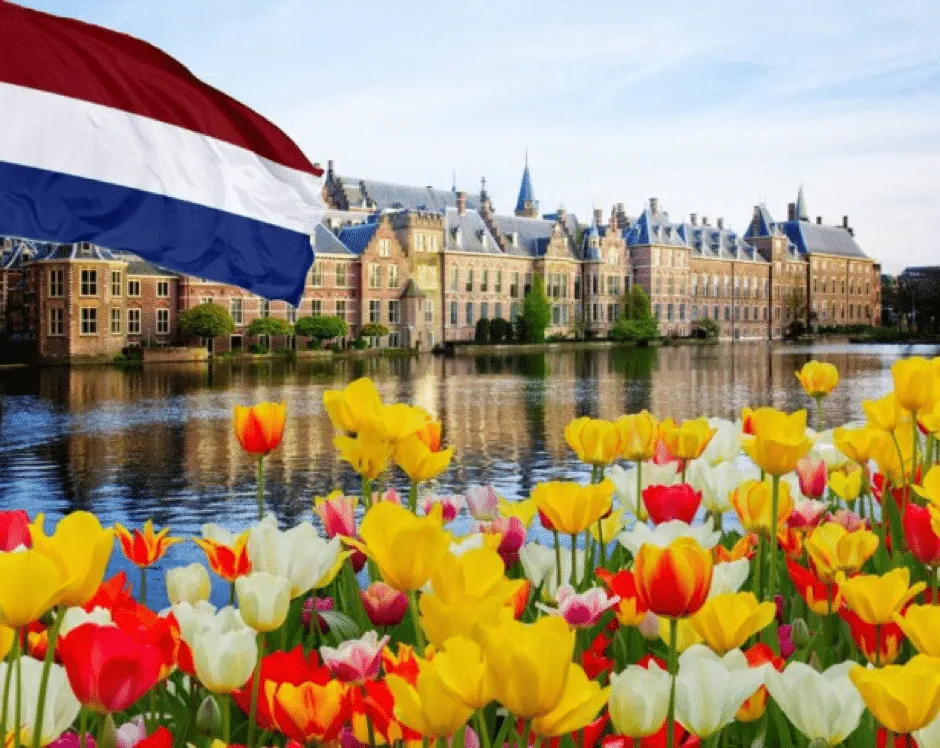 olanda norvegia — IT news