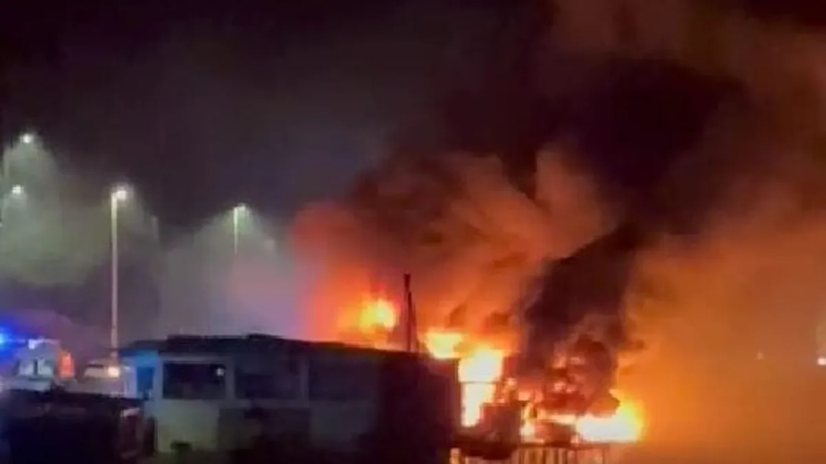 pomo vesima — IT news