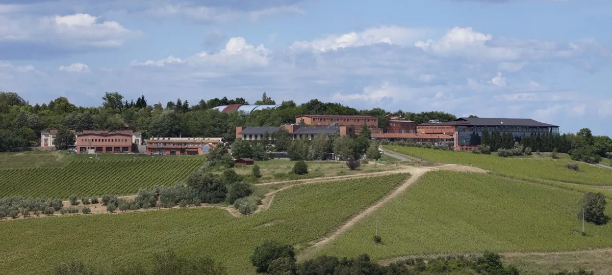 san patrignano — IT news