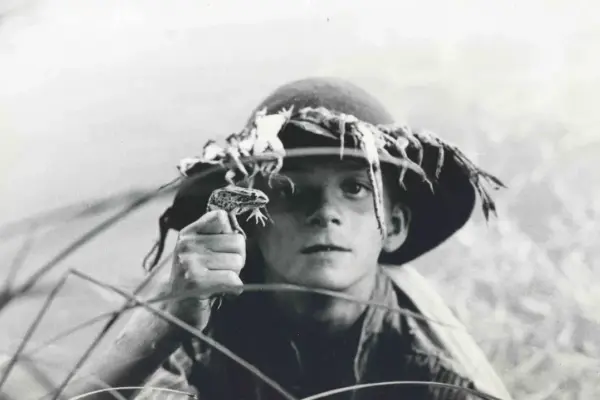 stefania sandrelli — IT news