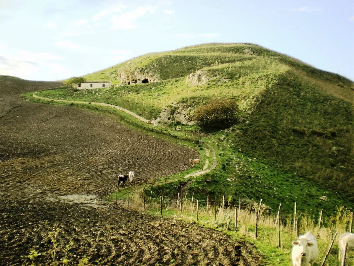 südtirol - entella — IT news