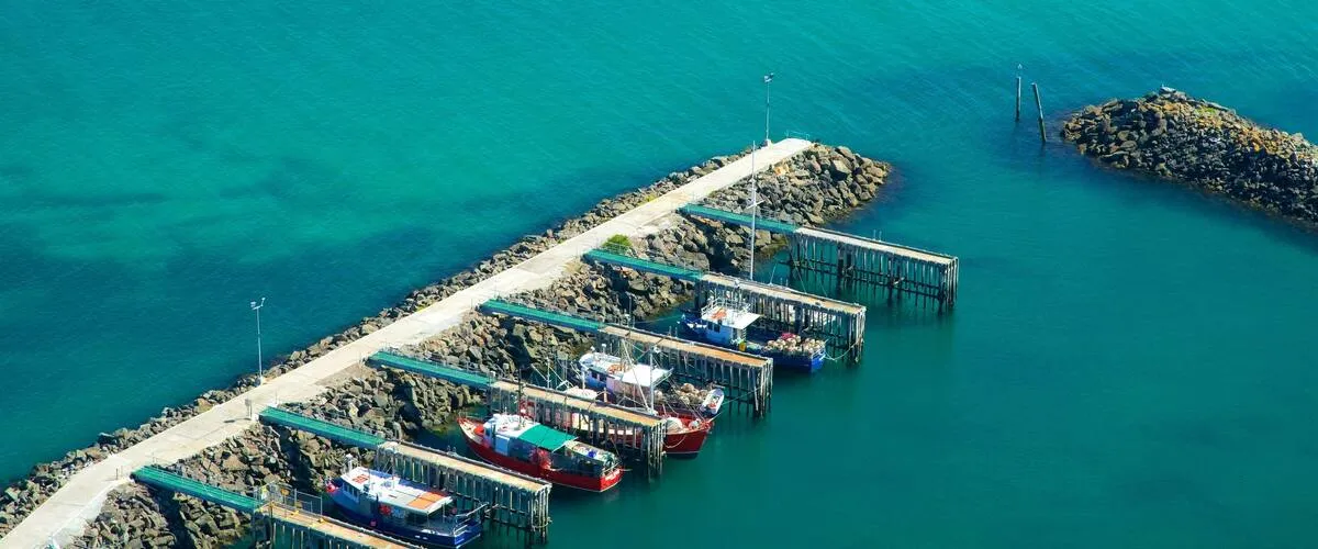 tasmania — IT news