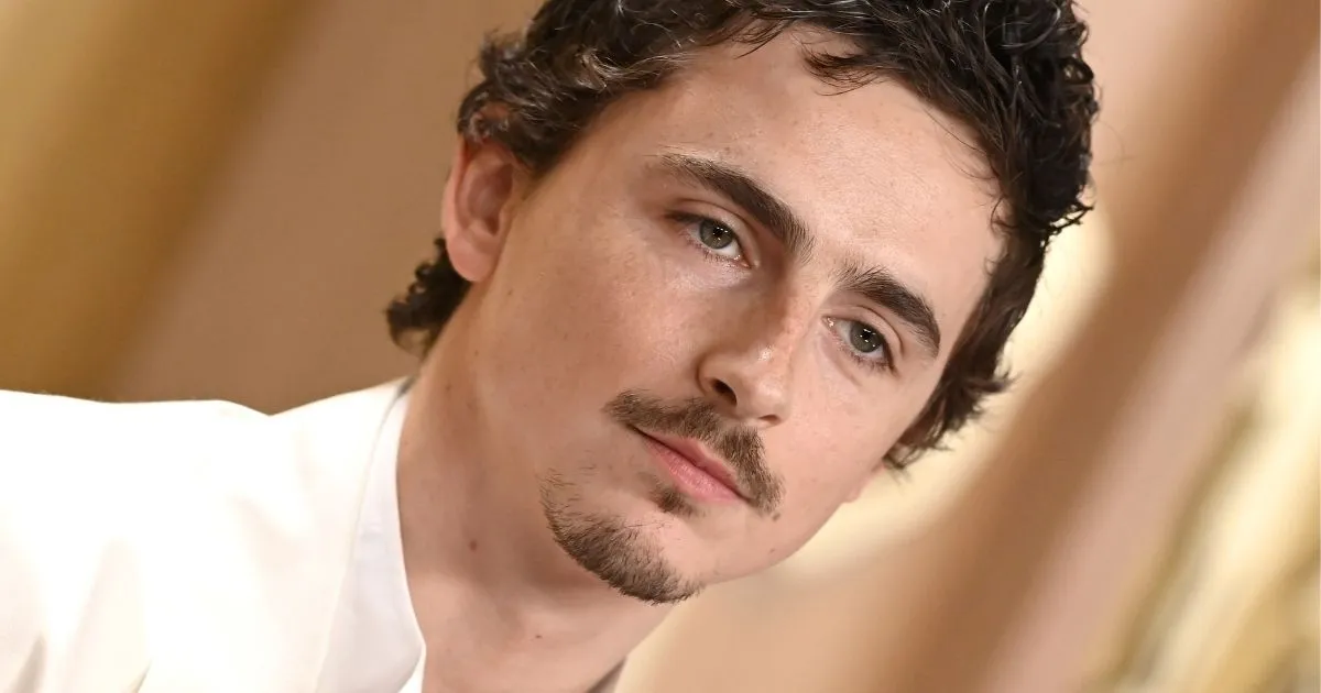 timothée chalamet — IT news