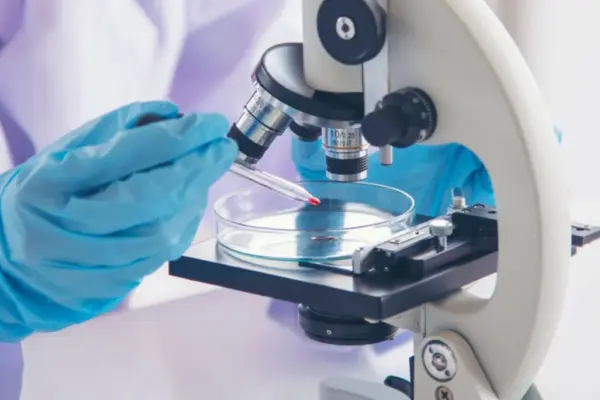 vimentina — IT news