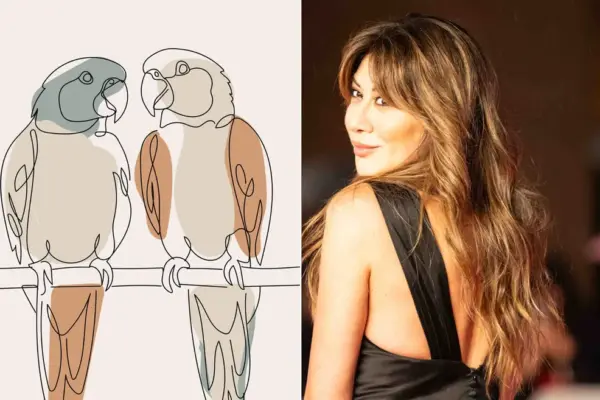 virginia raffaele — IT news